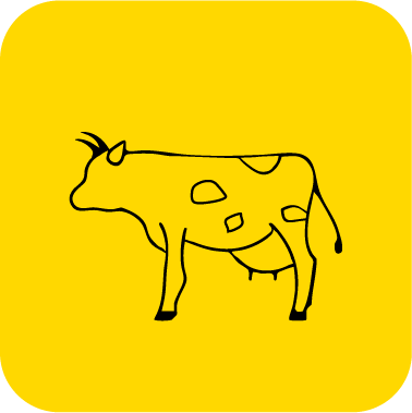 Laboratorios Salud Animal