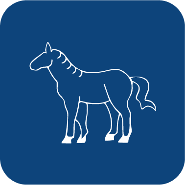 Laboratorios Salud Animal