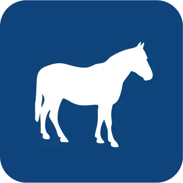 Equinos