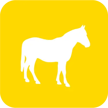 Equinos_H