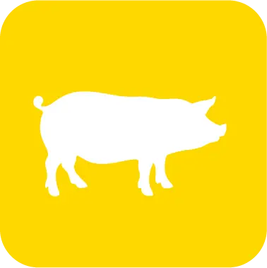 Porcinos_H